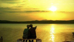 社保几个档位有什么区别（社保有几个档次，每年分别交多少钱，15年以后能拿多少钱？）