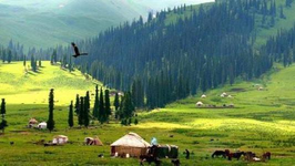 社保几个档位有什么区别（社保有几个档次，每年分别交多少钱，15年以后能拿多少钱？）