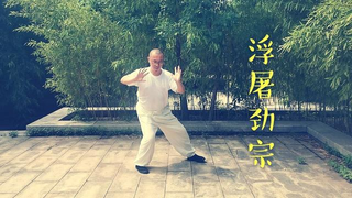 丹田挤胯（理清拳法精，“丹田与胯”，为你深度解读）