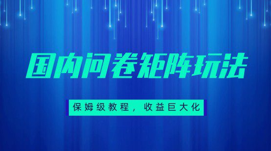 保姆级教程,国内问卷矩阵玩法,轻松赚收益