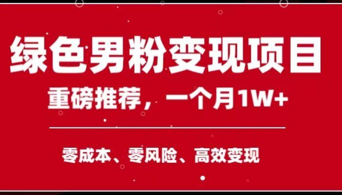 手机操作,月入1W以上副业领袖绿色男粉高客单价项目