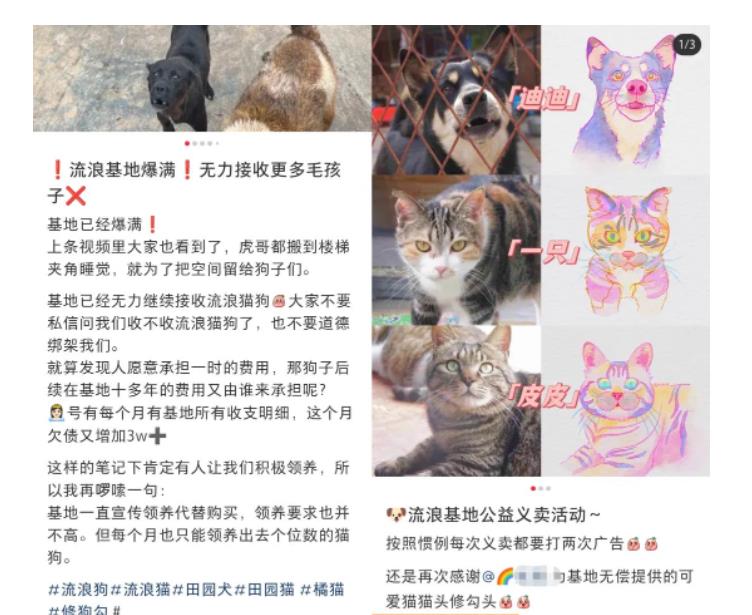 (5867期)小红书蓝海类赛道:小动物打赏与购买变现副业项目,一条龙玩法分享给你!