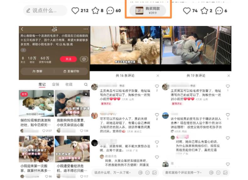 (5867期)小红书蓝海类赛道:小动物打赏与购买变现副业项目,一条龙玩法分享给你!