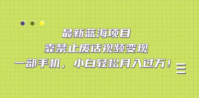 (7276期)最新蓝海项目,靠禁止废话视频变现,一部手机,小白轻松月入过万!