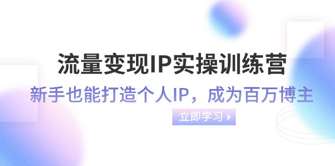 (8134期)流量变现-IP实操训练营:新手也能打造个人IP,成为百万 博主(46节课)