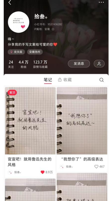 AI批量制造小红书爆款笔记+小红书无货源,玩法一条龙实操,小白也能轻松日入500+【揭秘】