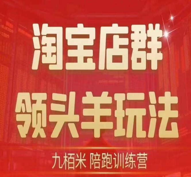九栢米-淘宝店群领头羊玩法,教你整个淘宝店群领头羊玩法以及精细化/终极蓝海/尾销等内容