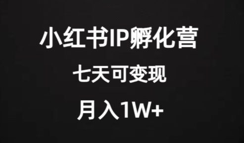 价值2000+的小红书IP孵化营项目,超级大蓝海,七天即可开始变现,稳定月入1W+
