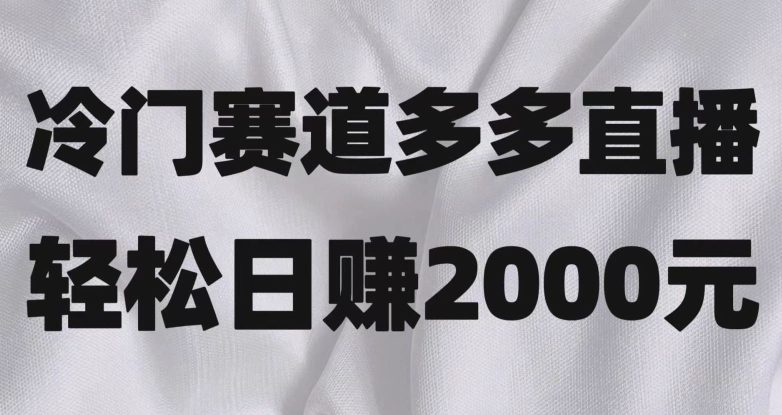 冷门赛道拼多多直播,简单念稿子,日收益2000+【揭秘】