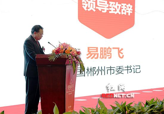 第二届中国域名节在郴州举行 “pig.com”拍出396万天价