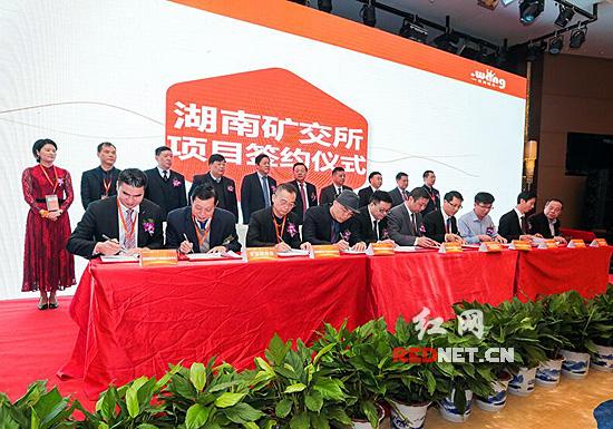 第二届中国域名节在郴州举行 “pig.com”拍出396万天价