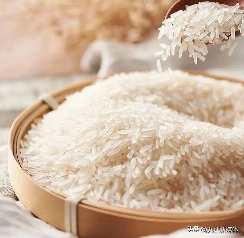 这个假期尚奥莱,大红包、低价购、一口价活动组团来袭 精彩不断 还有萌宠等你rua!