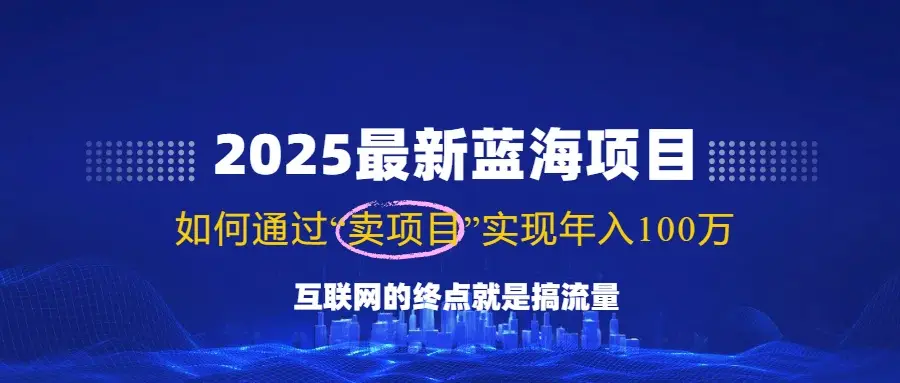 2025最新蓝海项目,零门槛轻松复制,月入10万+,新手也能操作!
