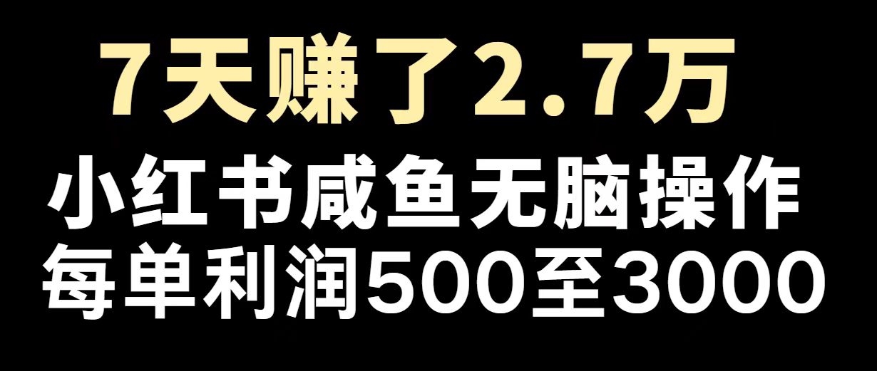 最赚钱项目之一,2025爆火,逆风翻盘!