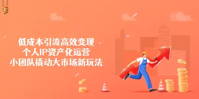 低成本引流高效变现,个人IP资产化运营,小团队撬动大市场新玩法