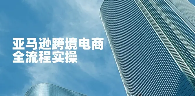 亚马逊跨境电商全流程实操,教你从零开始,掌握店铺运营与广告技巧
