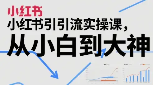 小红书引流实操课,从小白到大神