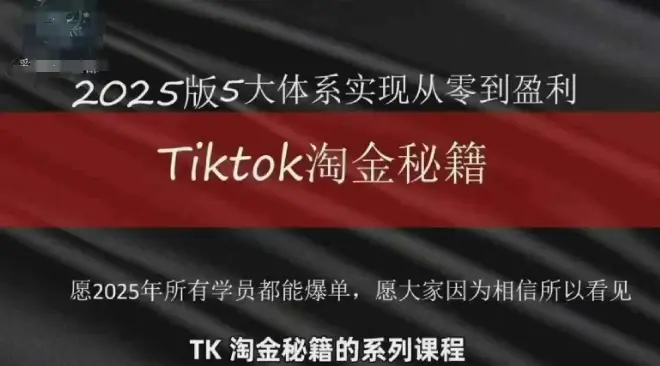 TikTok跨境2025淘金秘籍,2025TikTok从0到盈利变现