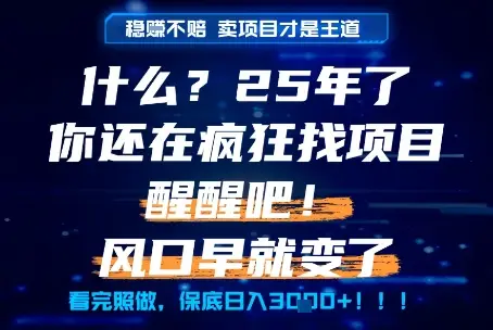 什么?25年你还在疯狂找项目做,醒醒吧,看完这些你全都懂了!【揭秘】