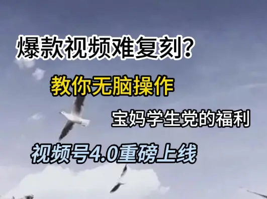 视频号4.0重磅上线,爆款视频难复刻?教你无脑操作宝妈学生党的福利【揭秘】
