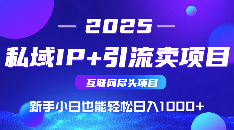 2025网创尽头项目,私域IP+引流,新手小白也能在家日入1000+