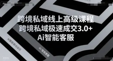 跨境私域线上高级课程,跨境私域极速成交3.0+Ai智能客服