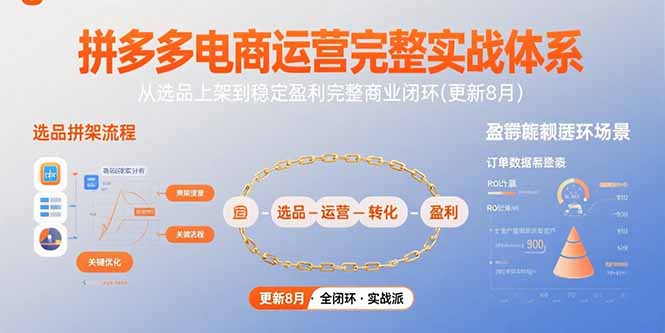 拼多多电商运营完整实战体系,从选品上架到稳定盈利完整商业闭环(更新8月