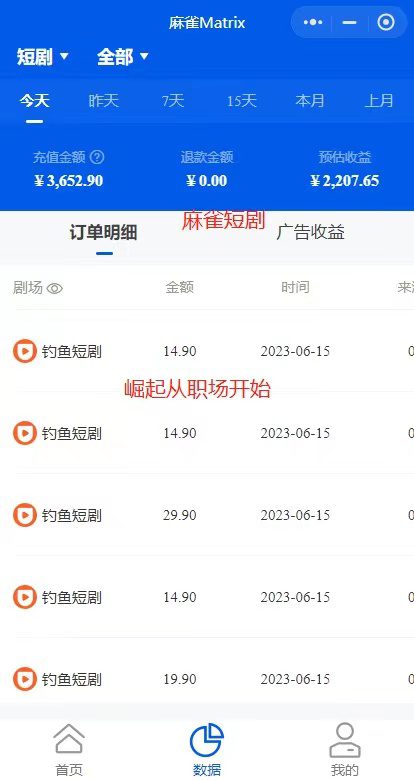 （6349期）市面高端12800米6月短剧玩法(抖音+快手+B站+视频号)日入1000-5000(无水印)