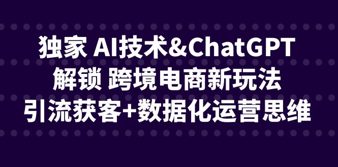 （6599期）独家 AI技术&amp;ChatGPT解锁 跨境电商新玩法，引流获客+数据化运营思维