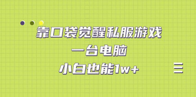 （7113期）靠口袋觉醒私服游戏，一台电脑，小白也能1w+（教程+工具+资料）