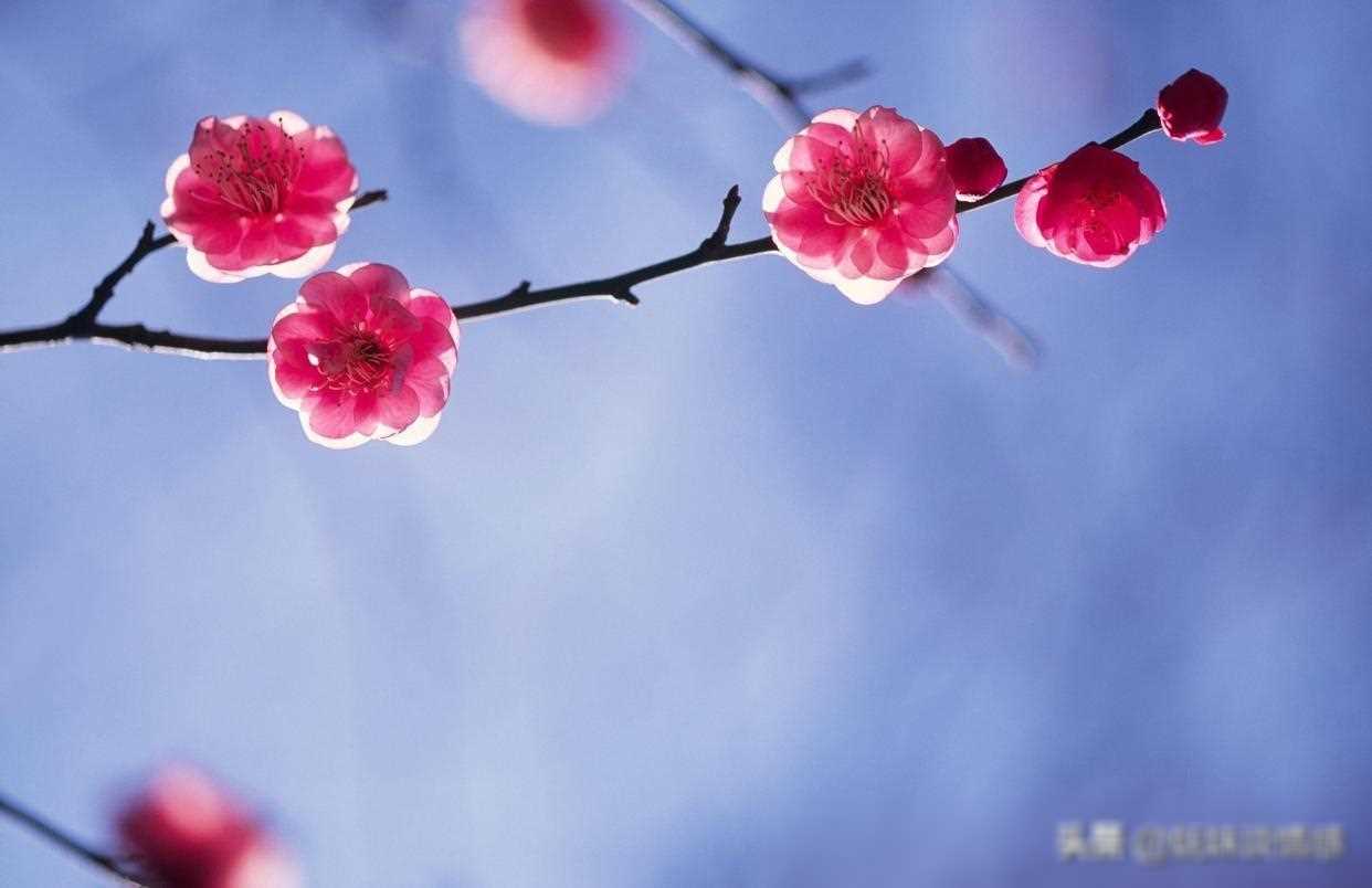 微信上，让人心动的聊天技巧，你值得拥有