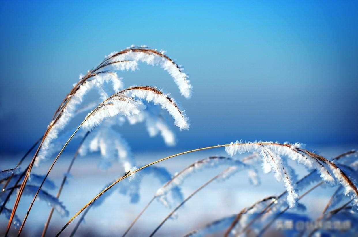 微信上，让人心动的聊天技巧，你值得拥有