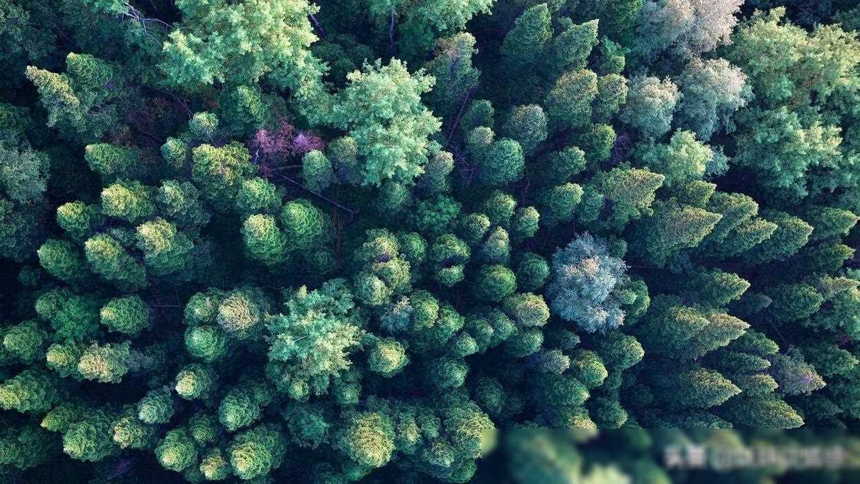 微信上，让人心动的聊天技巧，你值得拥有