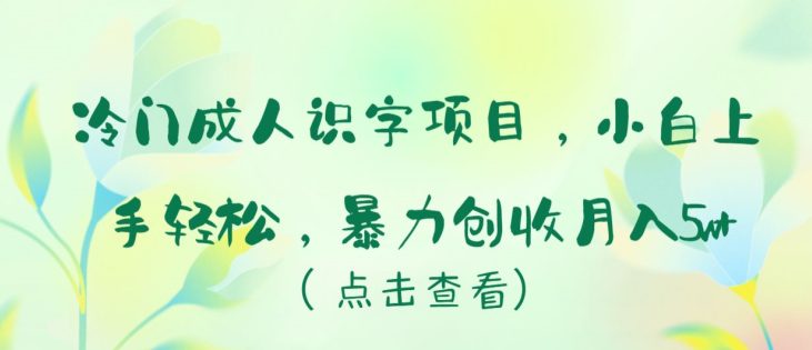 冷门成人识字项目，小白上手轻松，暴力创收月入5w+