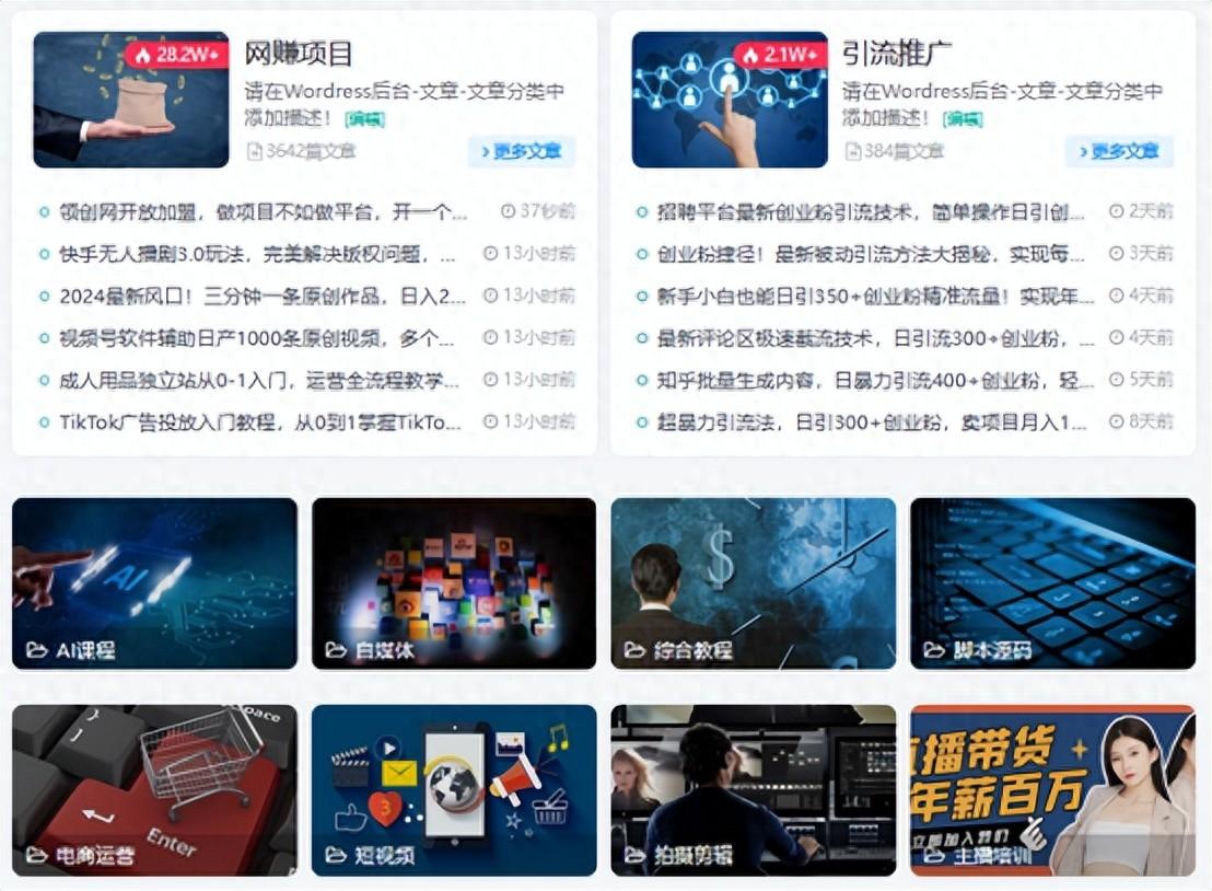 做个项目资源站，十年项目不用换，网赚千千万，今天带你看一看