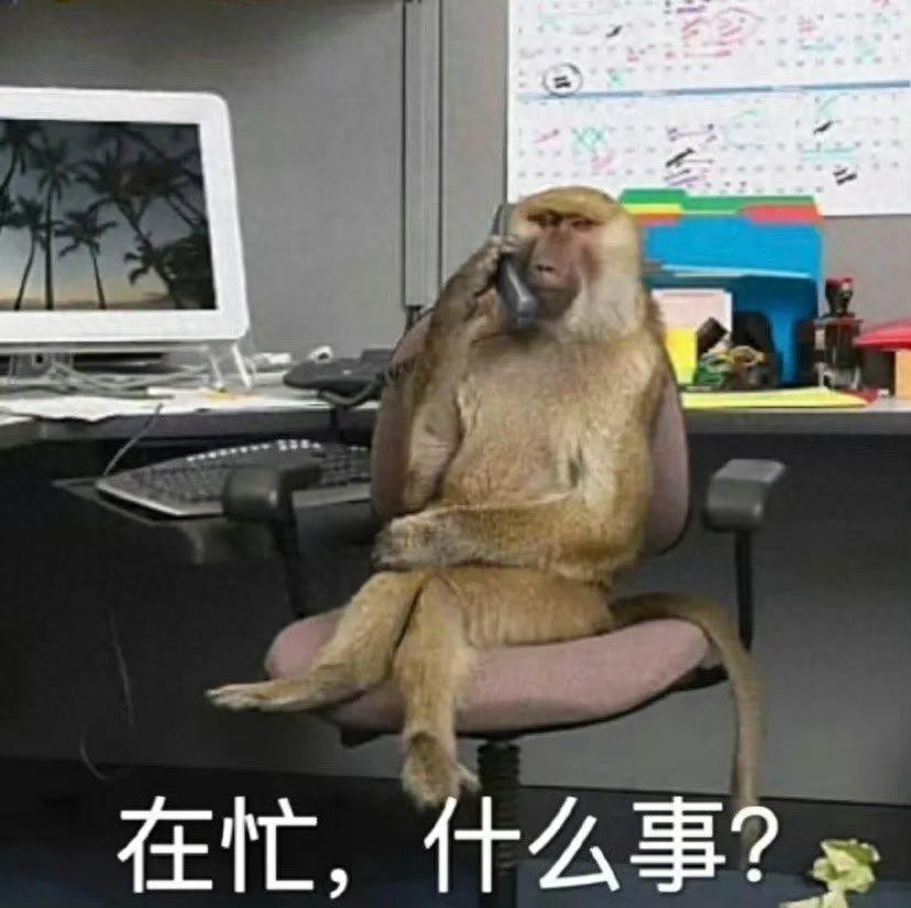 内置上千功能！这个手机APP解除了一切限制，永久免费！