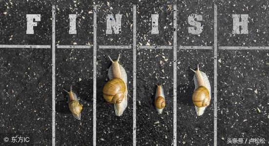 谈谈多年的创业之路和网络生涯