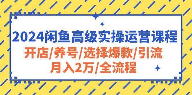 （10711期）2024闲鱼高级实操运营课程：开店/养号/选择爆款/引流/月入2万/全流程