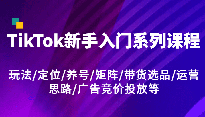 TikTok新手入门系列课程，玩法/定位/养号/矩阵/带货选品/运营思路/广告竞价投放等