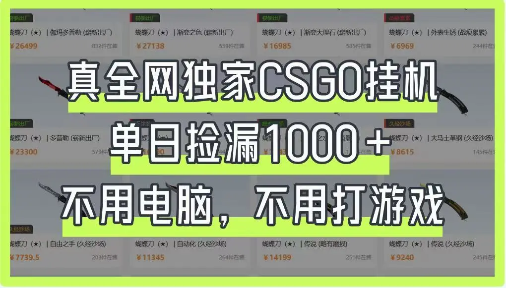 真全网独家CSGO挂机，单日捡漏1000+，不用电脑，不用养号