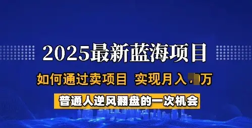 2025蓝海项目，普通人如何通过卖项目，实现月入过W，全过程【揭秘】