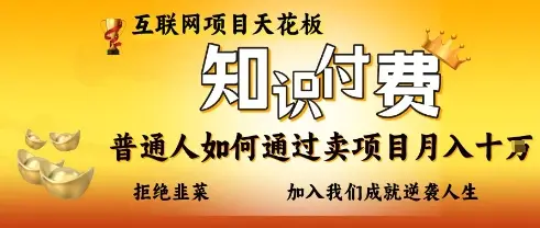 互联网项目天花板，知付付费项目，普通人如何通过卖项目月入十个，拒绝韭菜【揭秘】