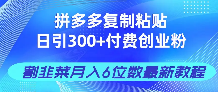 拼多多复制粘贴日引300+付费创业粉，割韭菜月入6位数最新教程！