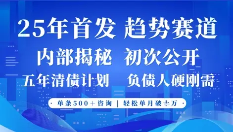 2025年首次公开，真正的事业型赛道，客咨不断，单月轻松破W