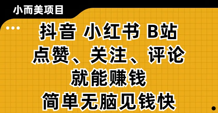 小而美的项目，抖音、小红书、B站视频点赞、关注、评论就能赚钱，简单无脑立见收益!妥妥的零撸项目