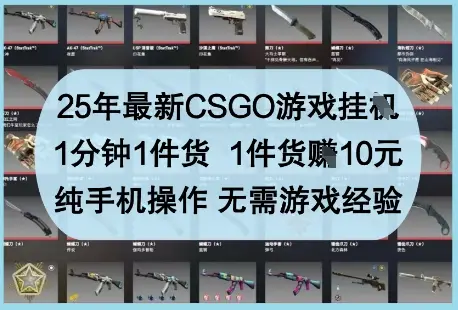 25年最新CSGO游戏挂G，1分钟1件货，1件货挣10元，纯手机操作，无需游戏经验【揭秘】