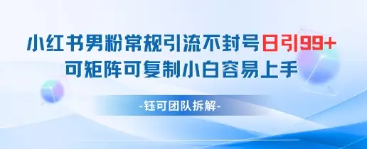 小红书男粉常规引流不封号日引99+变现简单 可矩阵可复制小白容易上手