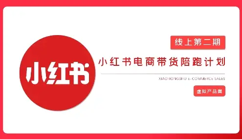 2025小红书虚拟电商实战课