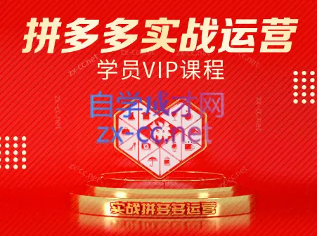 推易电商·拼多多实战运营课(更新2025月)