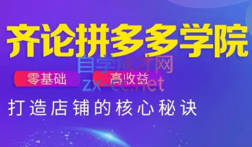 齐论拼多多vip课程